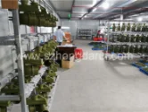 铸件工厂